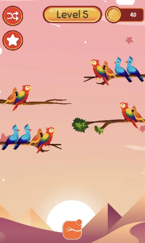 bird sort color
