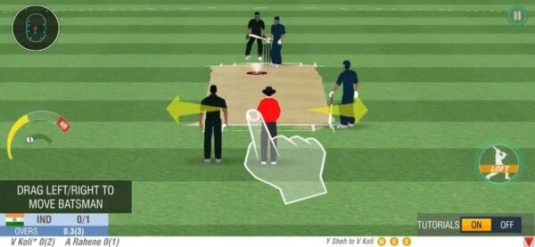 world cricket champion
